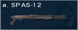 Spas 12