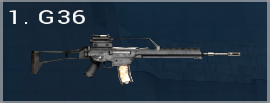 G36
