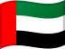 Country Flag