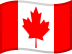 Country Flag