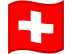 Country Flag