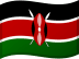 Country Flag