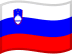 Country Flag